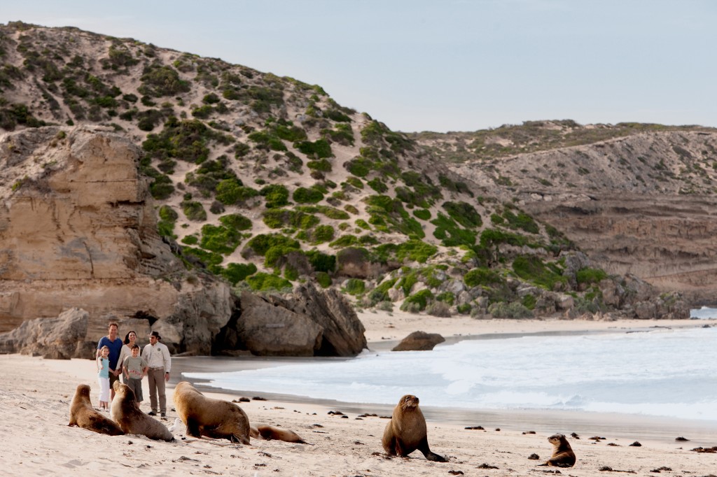 Seal Bay Conservation Park, Kangaroo Island. Photo credit: Tourism Australia