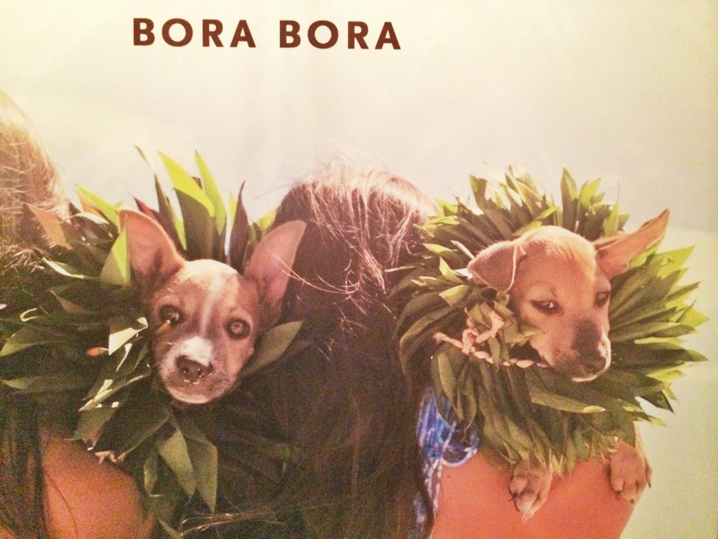 Bora Bora Furry Friends