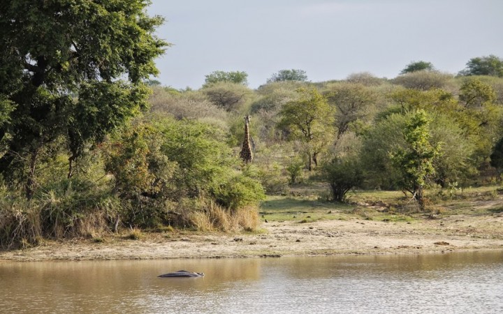 Scorcio del Parco Kruger (foto di Cinzia Schepis)